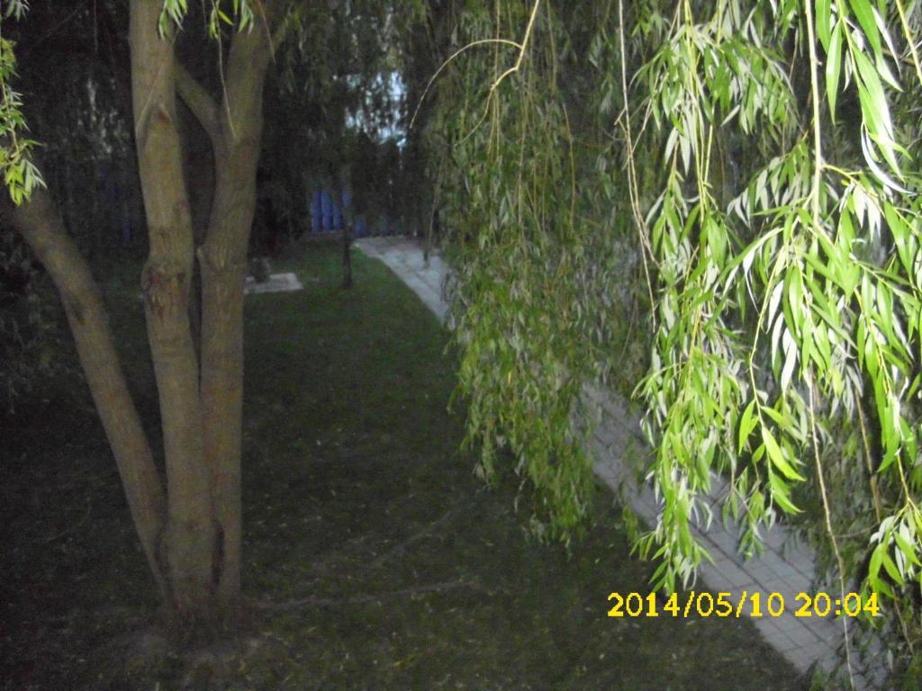 Pension Giulia Dumbravita  Exterior photo