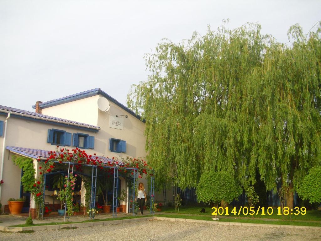 Pension Giulia Dumbravita  Exterior photo
